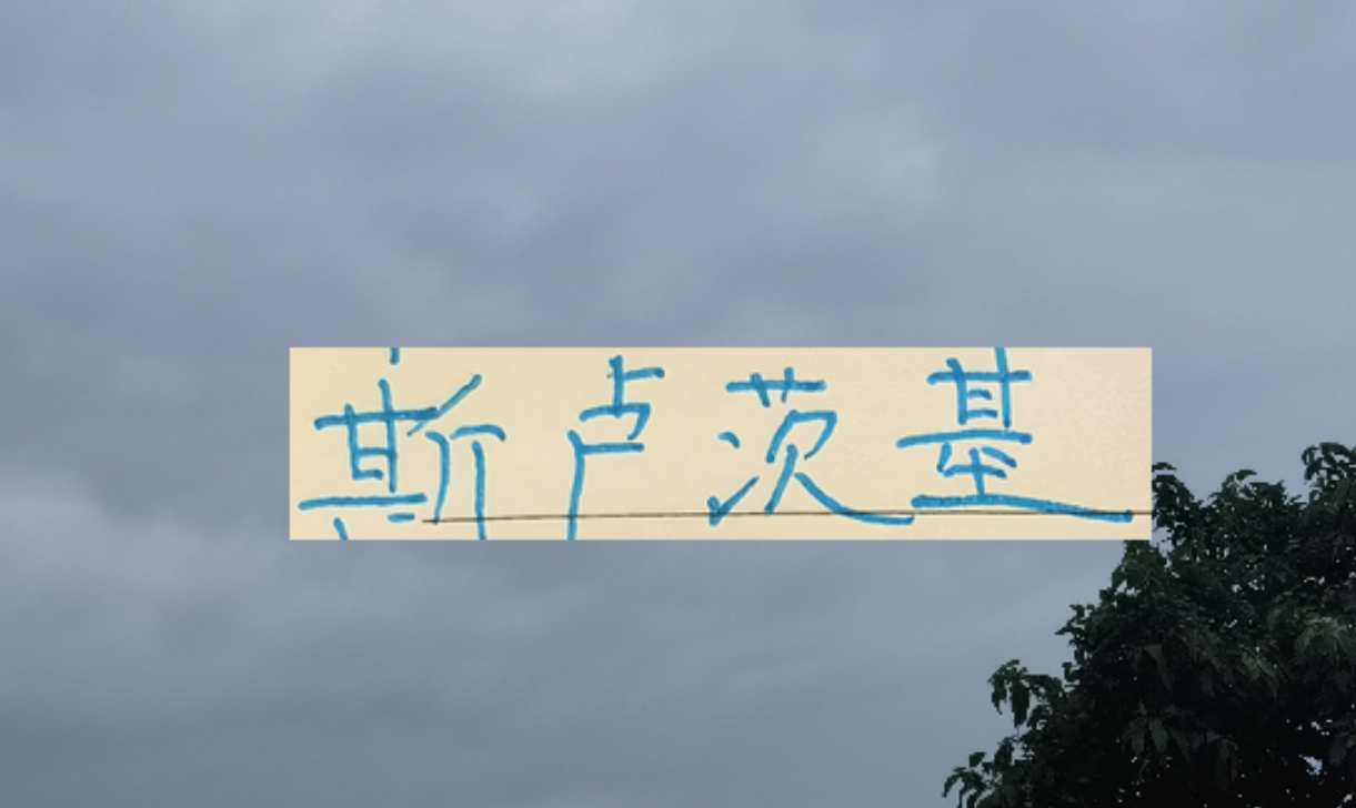 开云综合服务-2026赛季!申花“司机”还会三线全力以赴吗